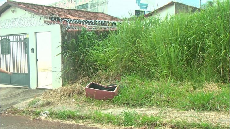 Prefeitura de Itabira notifica proprietários a manterem lotes limpos a partir desta quinta-feira