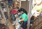 Prefeitura realiza mutirão de limpeza no Santa Bárbara em dia D de Combate à Dengue