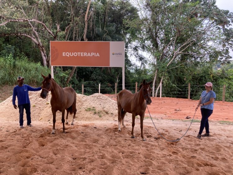 Equoterapia será ampliada em São Gonçalo