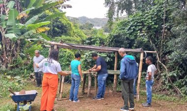 Secretaria de Meio Ambiente e Senar oferecem  curso de meliponicultura em João Monlevade