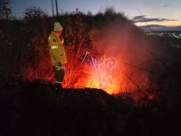 Brigada Florestal voluntária faz combate a incêndio no bairro Satélite