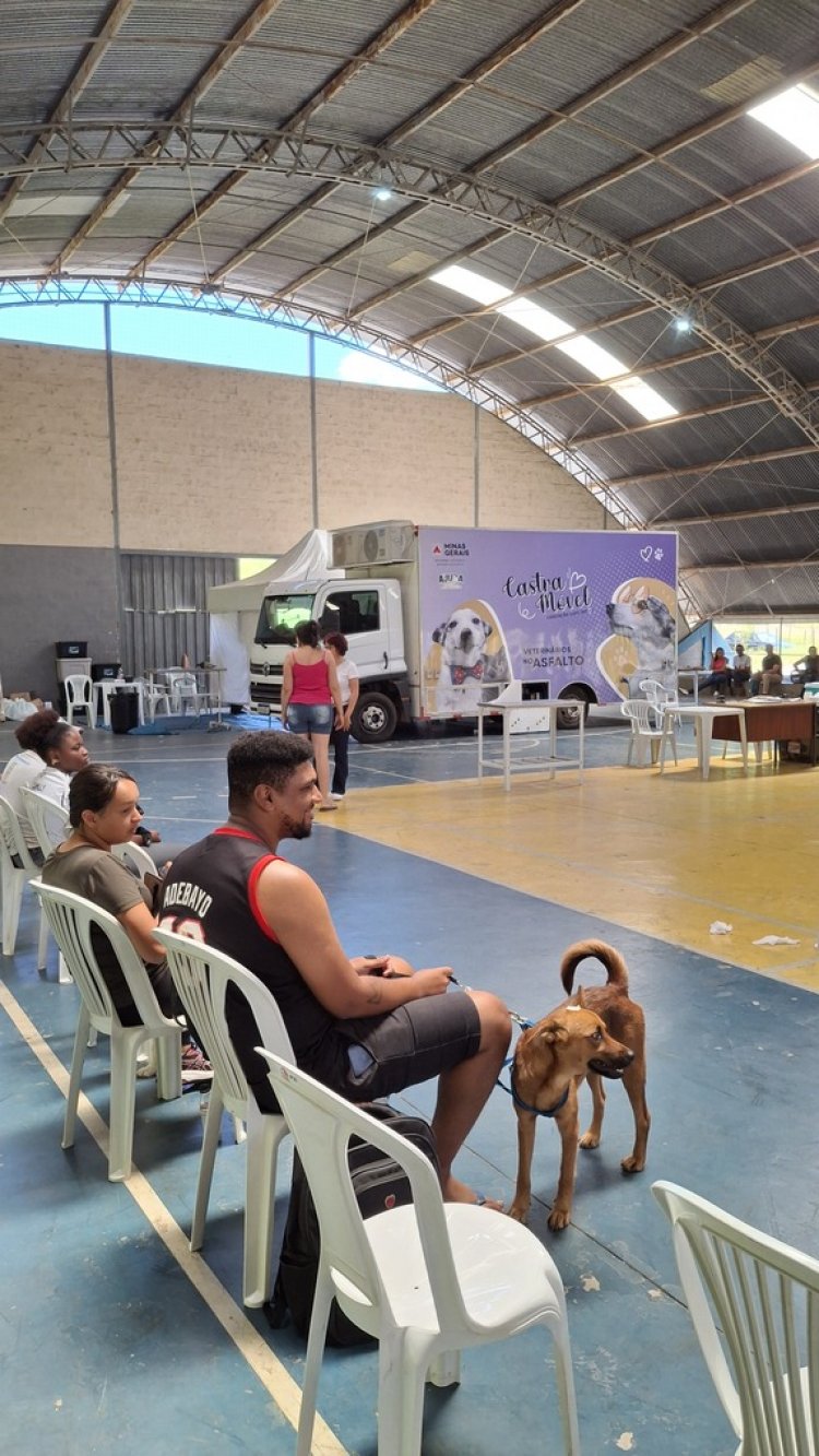 Castramóvel finaliza atendimentos em Monlevade com 486 castrações