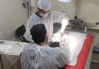 Prefeitura realiza novas inscrições para o Castramóvel em João Monlevade