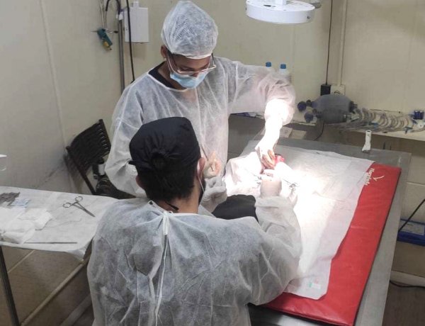Prefeitura realiza novas inscrições para o Castramóvel em João Monlevade