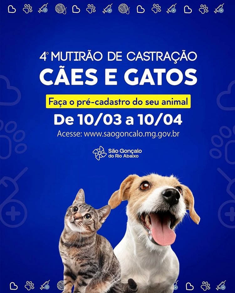 4º Mutirão de Castração de Cães e Gatos em São Gonçalo do Rio Abaixo: Inscrições Abertas!