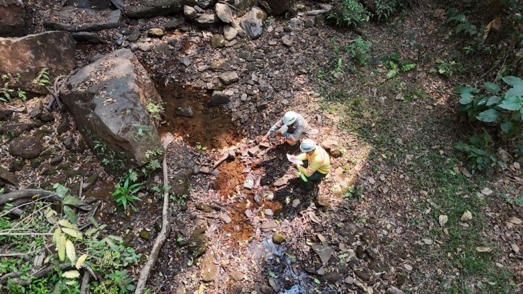 ArcelorMittal inicia projeto para proteção e recuperação de nascentes em João Monlevade