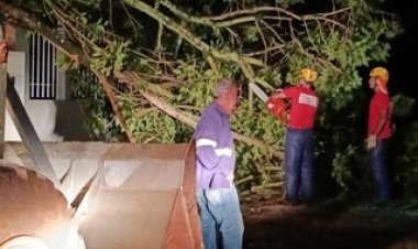 Resposta ágil da Prefeitura de João Monlevade reduz transtornos após chuva e ventania