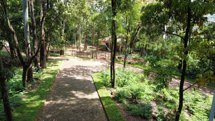 Curso gratuito de Operação e Manutenção de Motosserra será realizado em João Monlevade