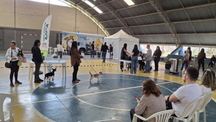 Castramóvel retorna a João Monlevade para nova etapa de castrações gratuitas em março