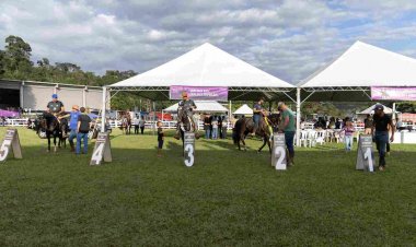 Concurso de marcha reúne 345 animais e reforça tradição na 38ª Cavalgada de São Gonçalo